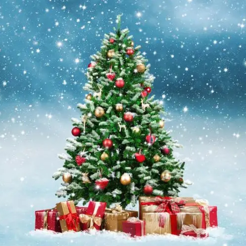 Christmas is here. Choose a piece of jewelry for the person you love the most.