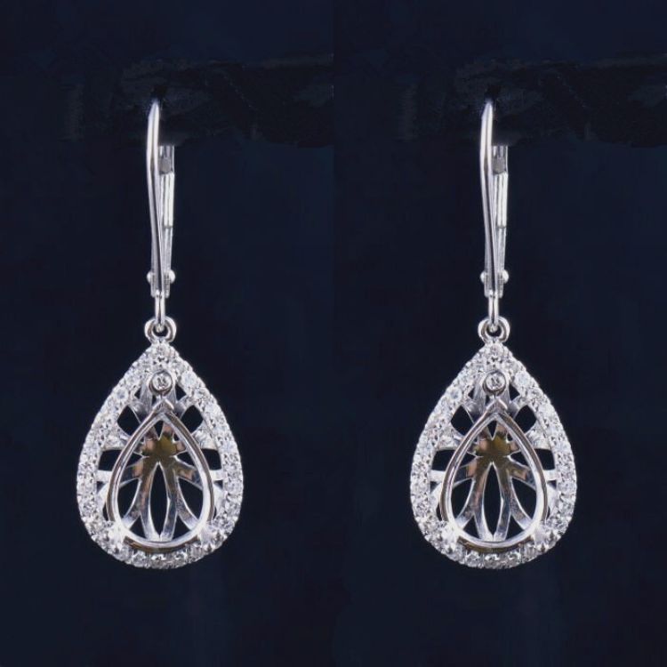 Nice Lever Back Earrings Semi Mount